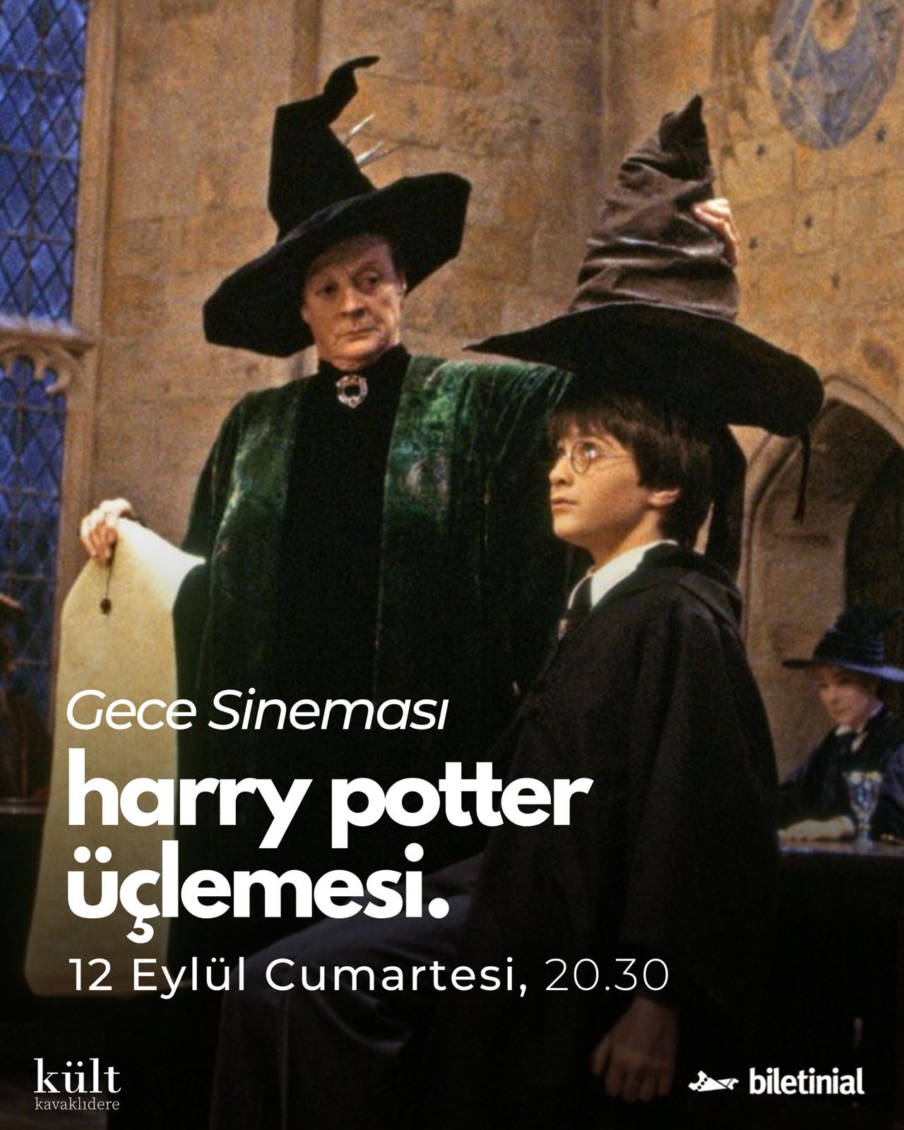 Harry Potter Üçlemesi Gece Sineması
