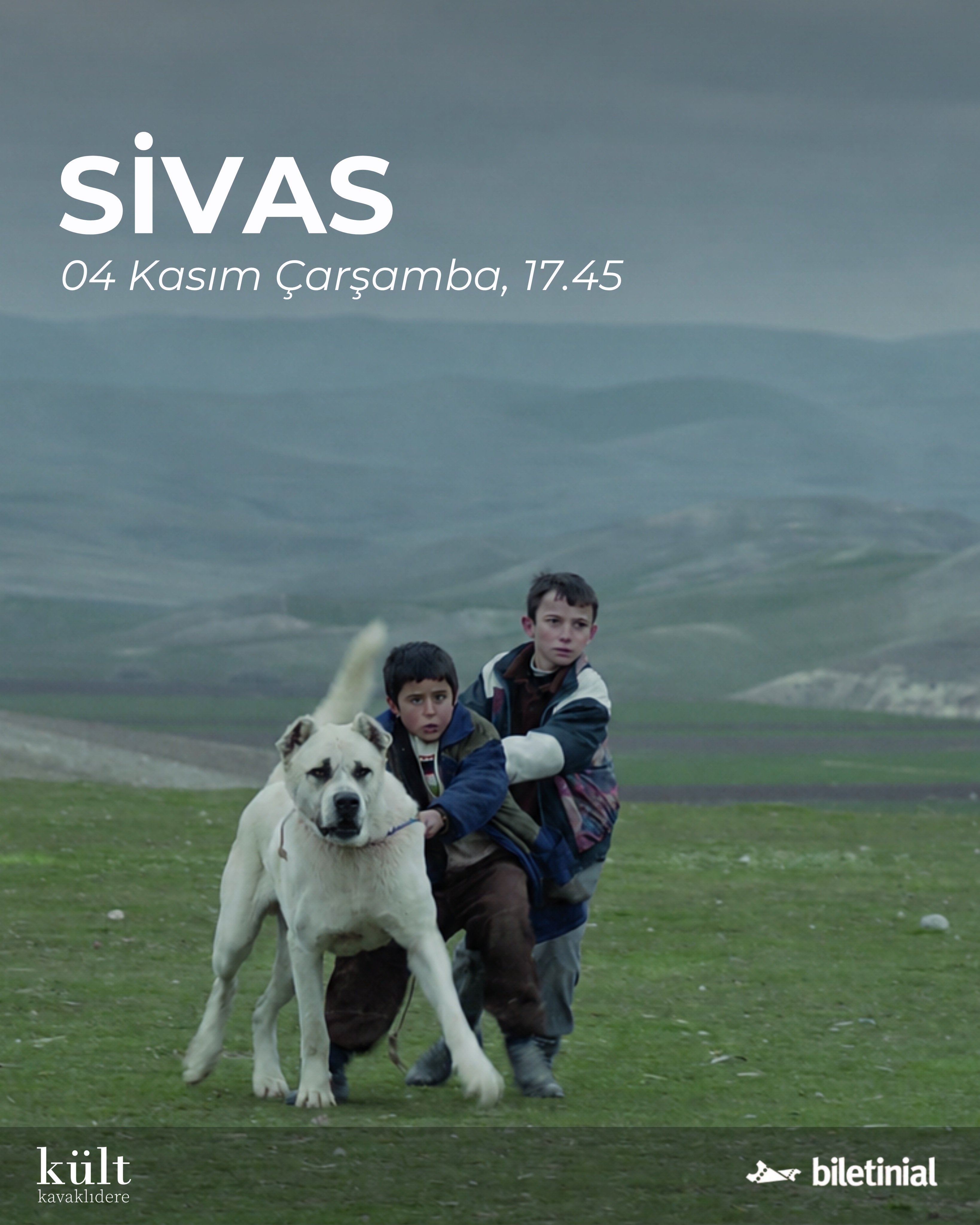 Sivas